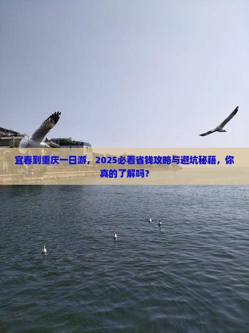 宜春到重庆一日