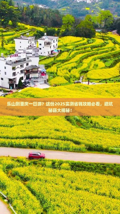 乐山到重庆一日