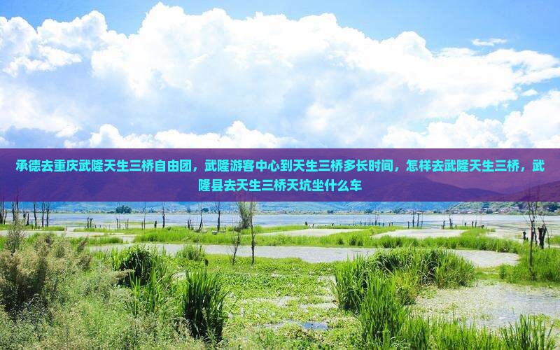 承德去重庆武隆天生三桥自由团
