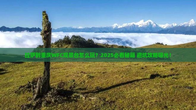 拉萨到重庆wfc观景台哪里玩