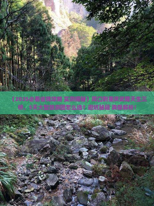 周口到重庆武隆天生三桥大型旅游团