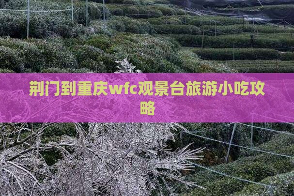 荆门到重庆wfc观景台旅游小吃