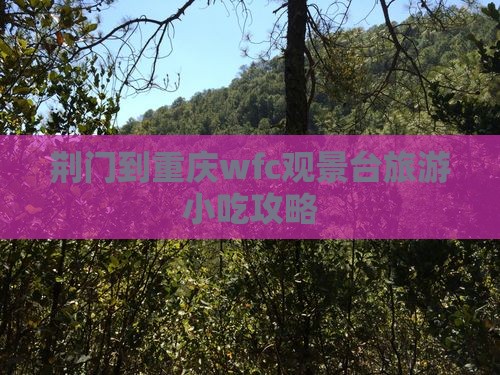 荆门到重庆wfc观景台旅游小吃