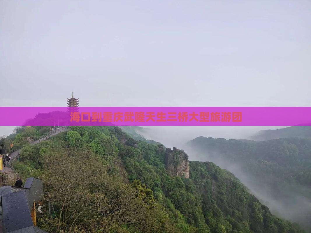 海口到重庆武隆天生三桥大型旅游团