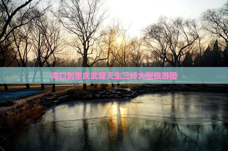 海口到重庆武隆天生三桥大型旅游团