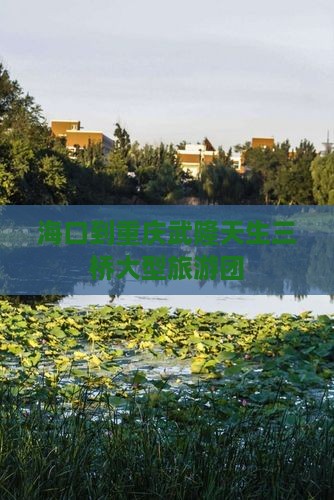 海口到重庆武隆天生三桥大型旅游团