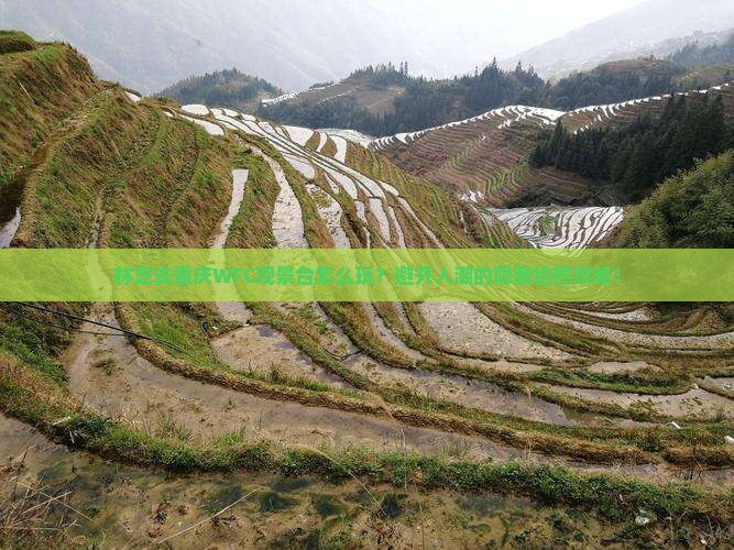 林芝去重庆wfc观景台景点