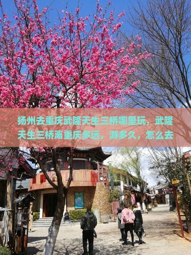 扬州去重庆武隆天生三桥哪里玩