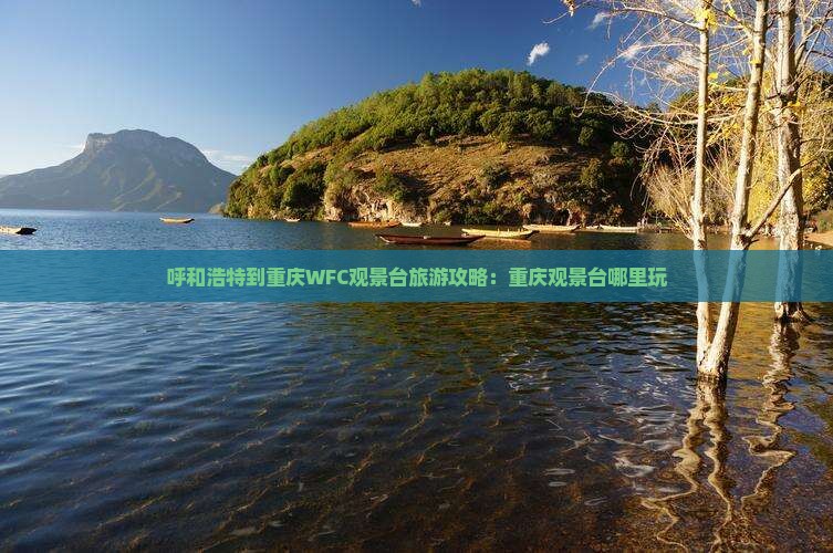 呼和浩特到重庆wfc观景台哪里玩