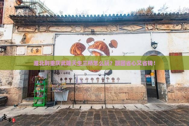 淮北到重庆武隆天生三桥团体旅游