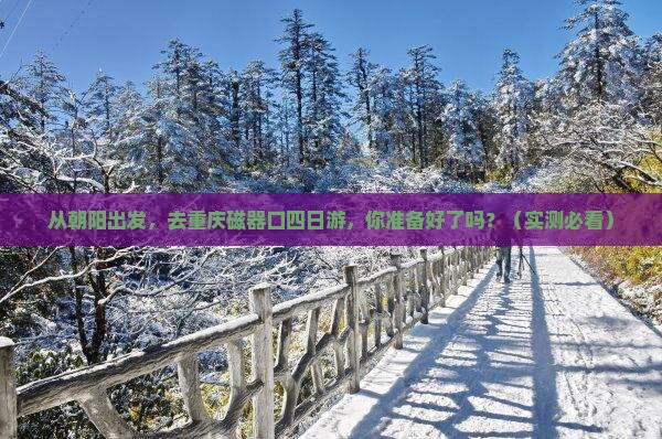 朝阳到重庆磁器口四日游