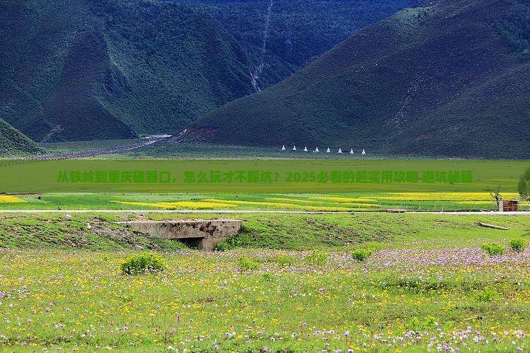 铁岭去重庆磁器口攻略