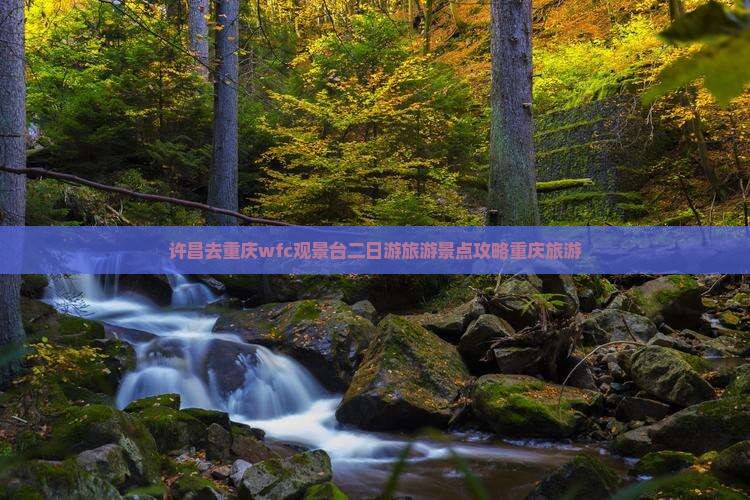 许昌去重庆wfc观景台二日游