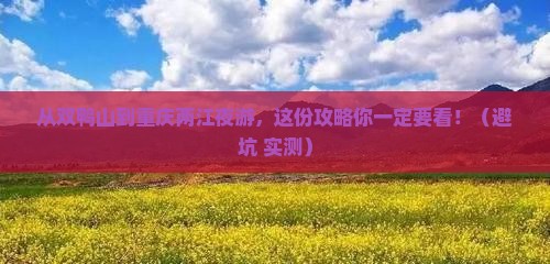 双鸭山到重庆两江夜游必去地