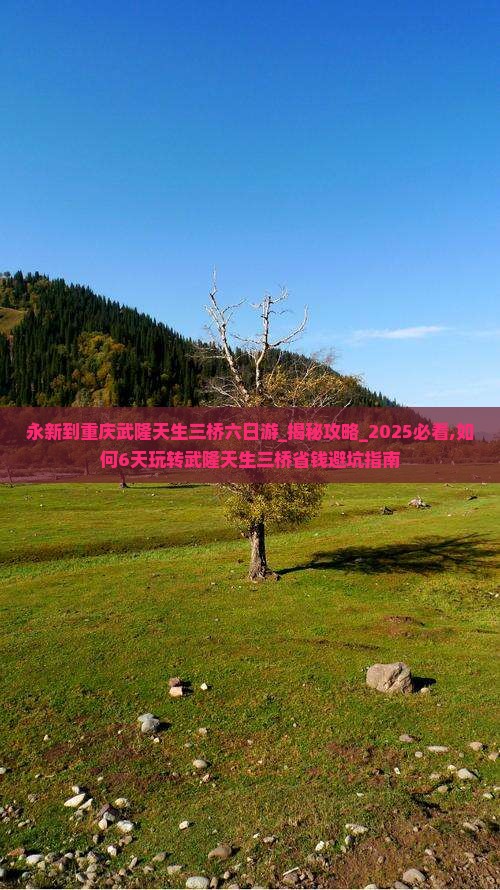 永新到重庆武隆天生三桥六日游