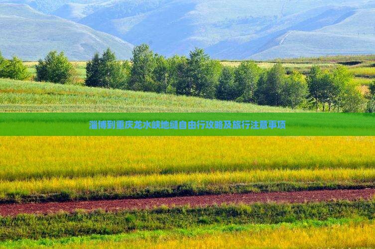 淄博到重庆龙水峡地缝自由行