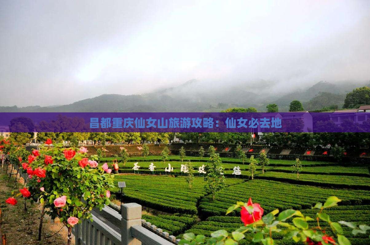 昌都去重庆仙女山必去地