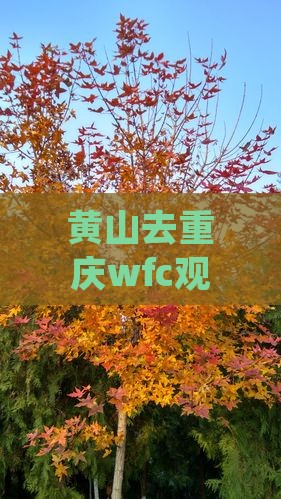 黄山去重庆wfc观景台七日游 黄山去重庆wfc观景台七日游