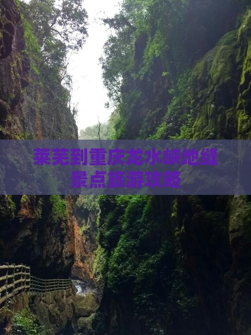 莱芜到重庆龙水峡地缝景点