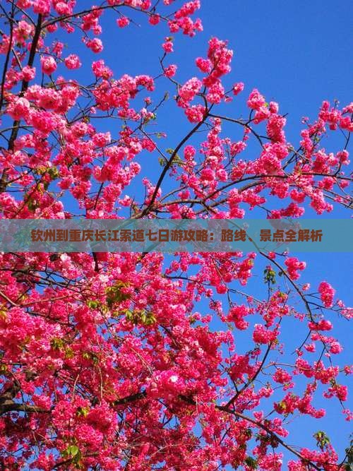 钦州到重庆长江索道七日游