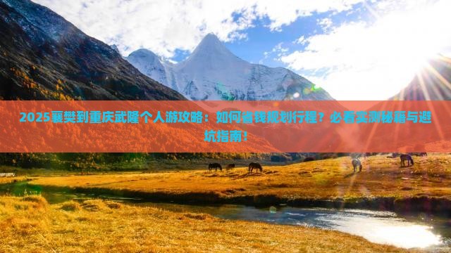 襄樊到重庆武隆个人游