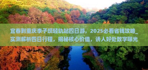 宜春到重庆李子坝轻轨站四日游 宜春到重庆李子坝轻轨站四日游