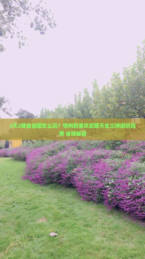 鄂州到重庆武隆天生三桥自由团