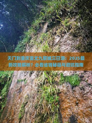 天门到重庆蚩尤九黎城三日游