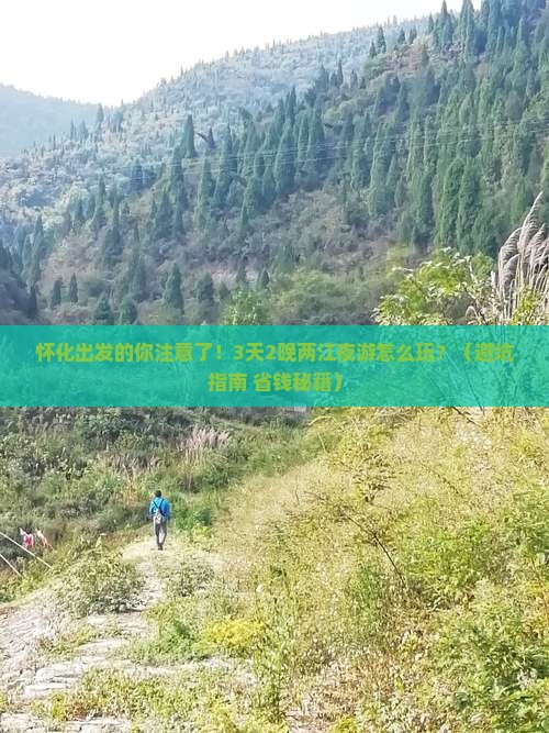 怀化到重庆两江夜游旅行社