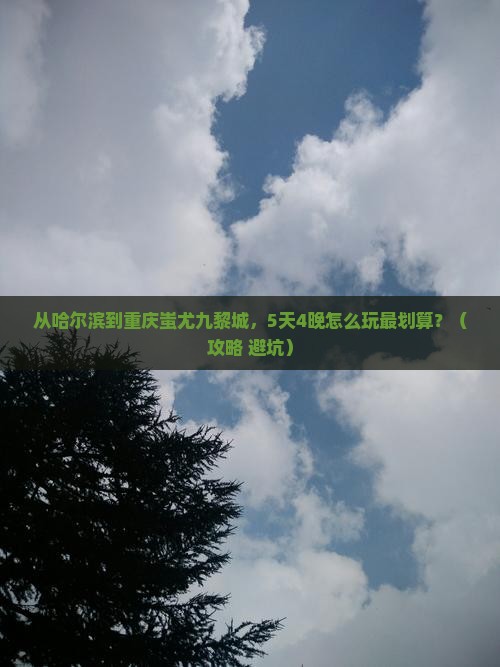 哈尔滨去重庆蚩尤九黎城门票