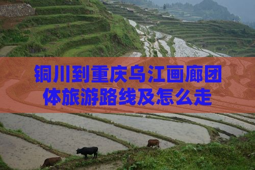 铜川到重庆乌江画廊团体旅游
