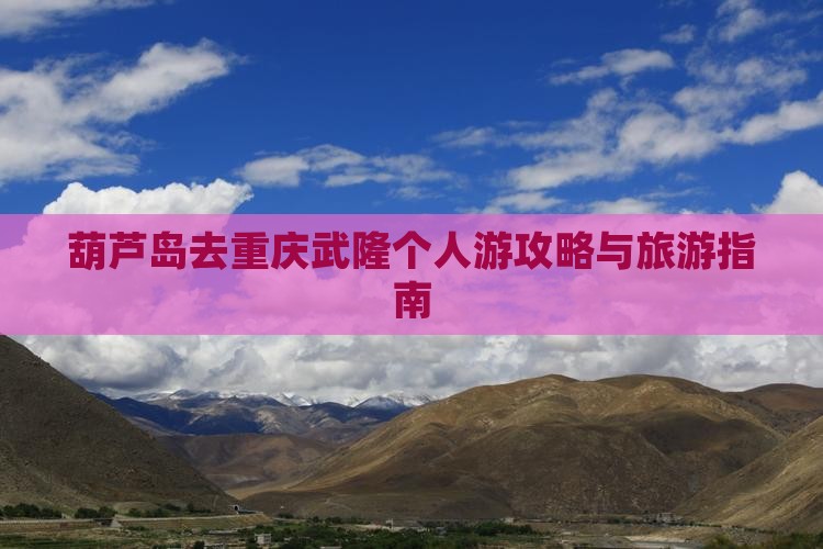 葫芦岛去重庆武隆个人游