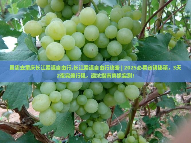 吴忠去重庆长江索道自由行