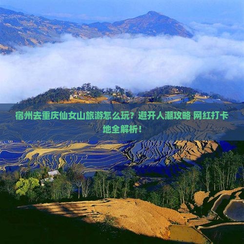 宿州去重庆仙女山旅游
