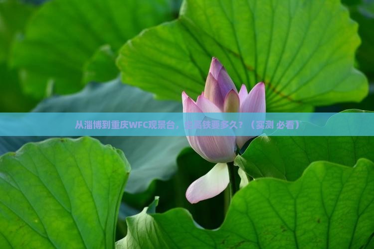 淄博到重庆wfc观景台旅游