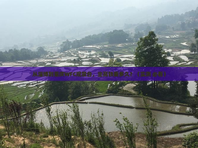 淄博到重庆wfc观景台旅游