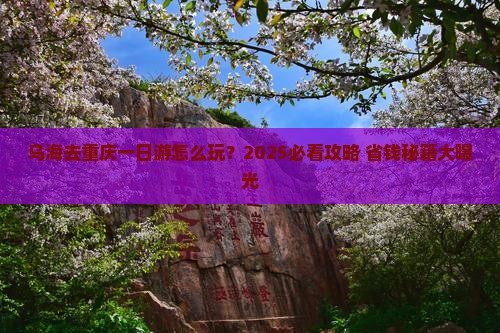 乌海去重庆一日