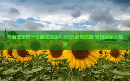 乌海去重庆一日