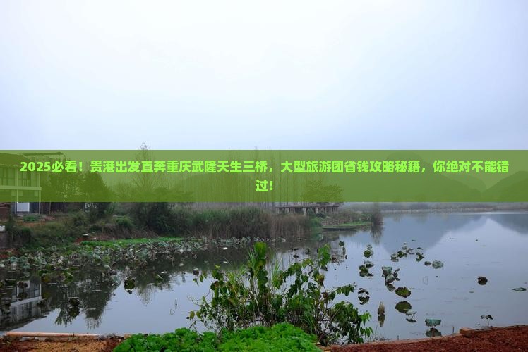 贵港到重庆武隆天生三桥大型旅游团