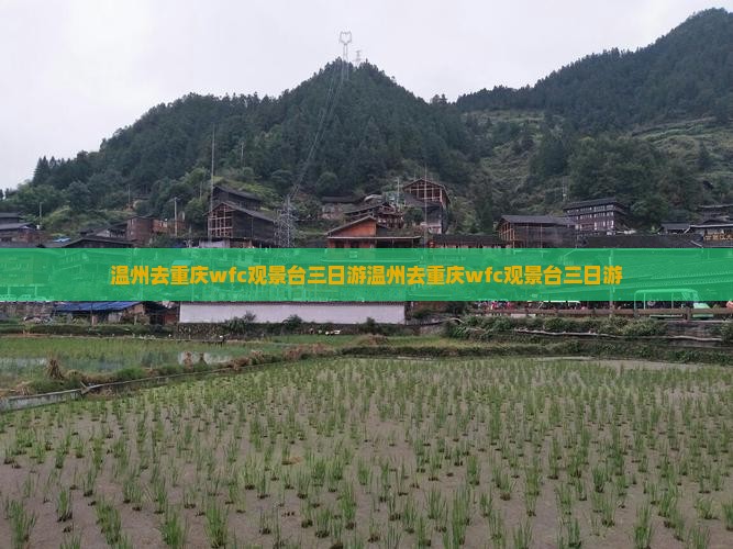 温州去重庆wfc观景台三日游