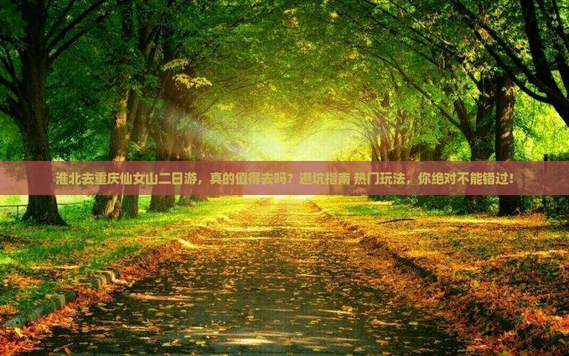 淮北去重庆仙女山二日游