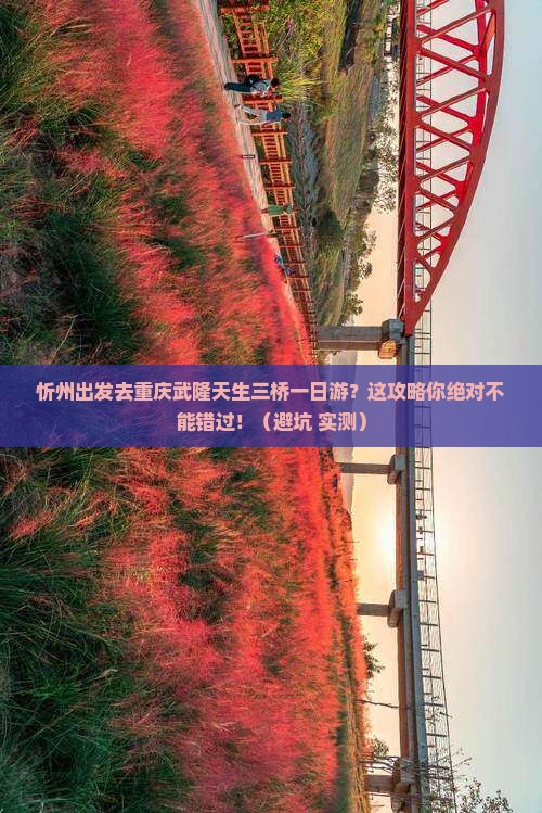 忻州去重庆武隆天生三桥一日
