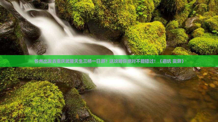 忻州去重庆武隆天生三桥一日