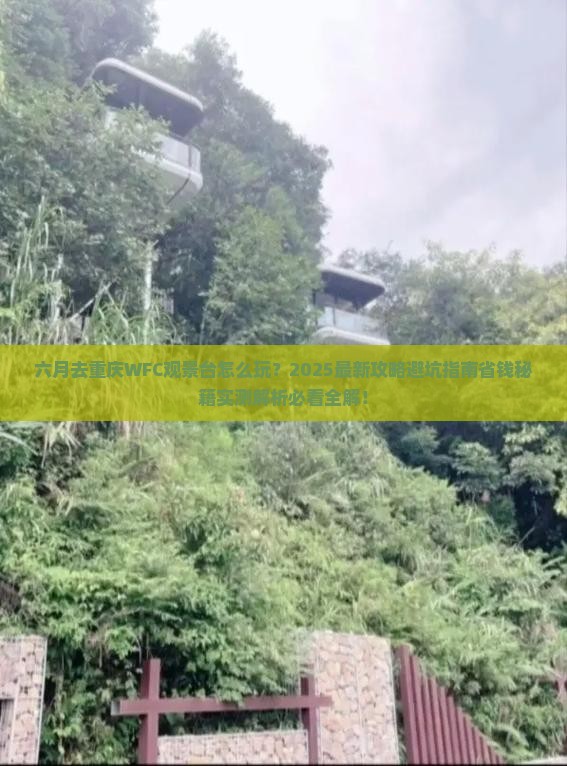 六月去重庆wfc观景台自由团