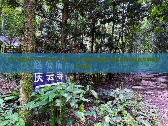 六月去重庆wfc观景台自由团