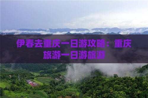 伊春去重庆一日