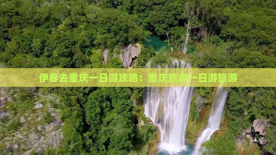 伊春去重庆一日