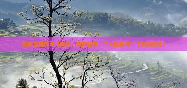 鹤岗去重庆两江夜游个人游