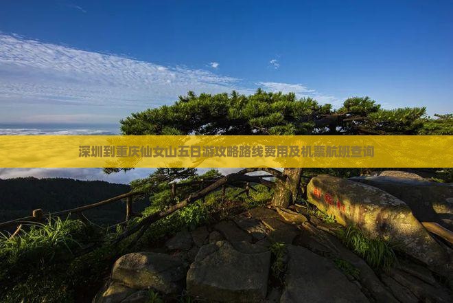 深圳到重庆仙女山五日游