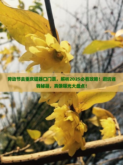 劳动节去重庆磁器口门票